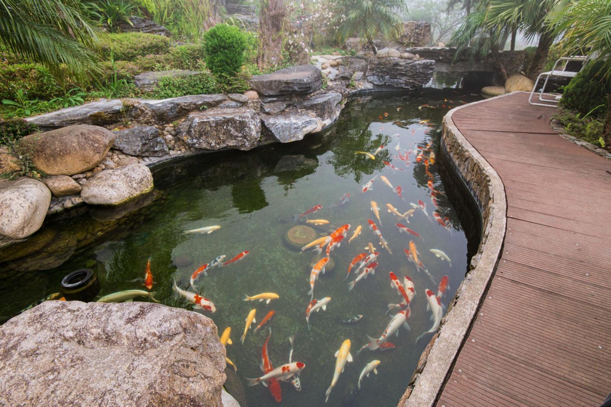 Sapa Catcat Hills Resort & Spa Dış mekan fotoğraf